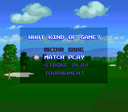 The IREM Skins Game screenshot 7 for Super Nintendo